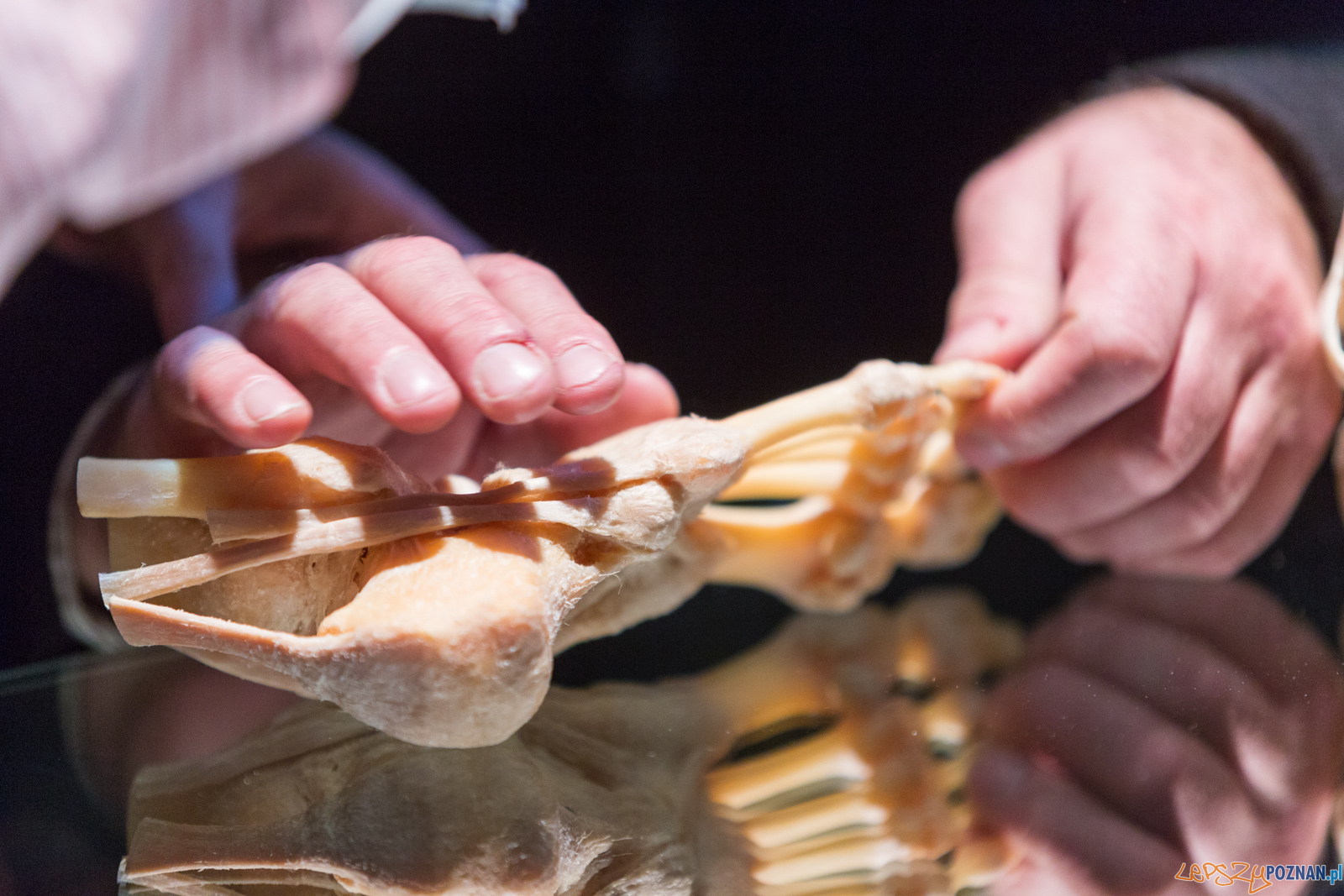 Body Worlds Foto: lepszyPOZNAN.pl/Piotr Rychter Body Worlds Foto: lepszyPOZNAN.pl/Piotr Rychter