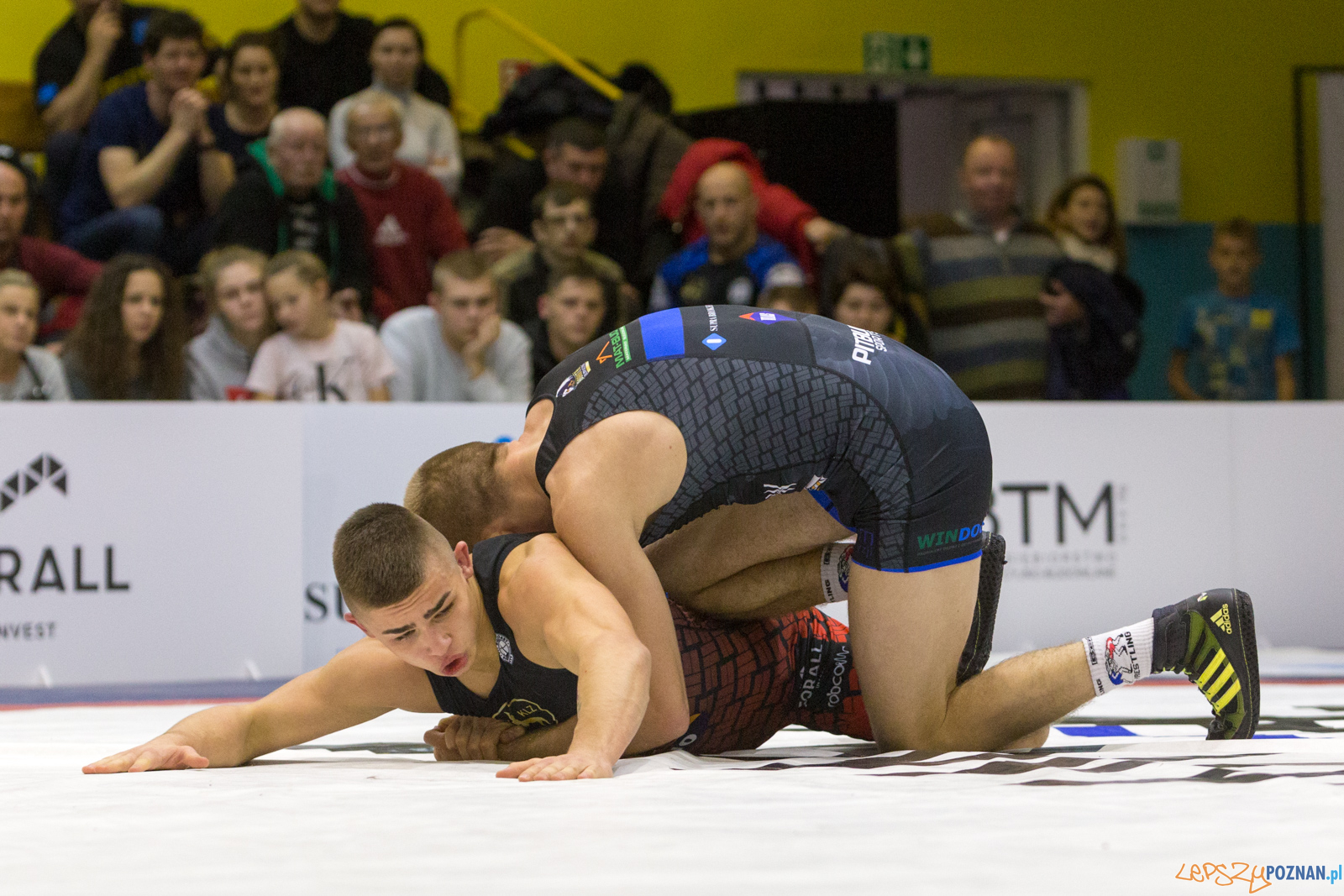 WZS WKS Grunwald – KS Sobieski Poznań - Boruta-Olimpijczyk Wr Foto: lepszyPOZNAN.pl/Piotr Rychter WZS WKS Grunwald – KS Sobieski Poznań - Boruta-Olimpijczyk Wr Foto: lepszyPOZNAN.pl/Piotr Rychter