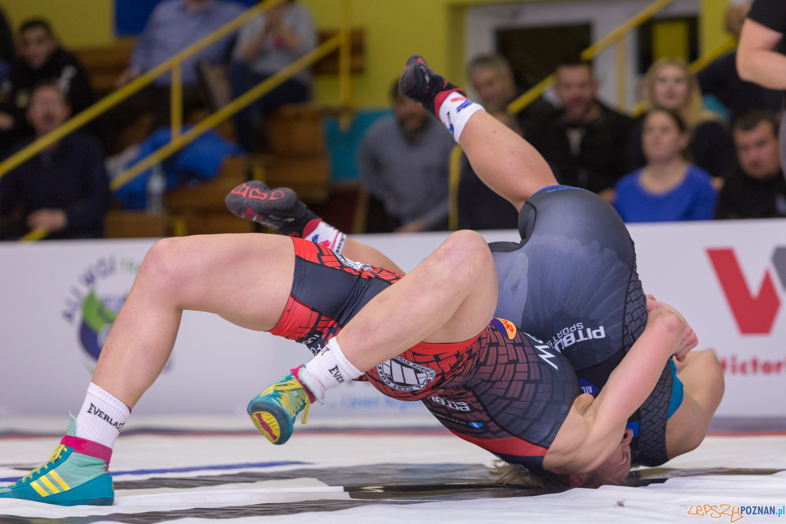 WZS WKS Grunwald – KS Sobieski Poznań - Boruta-Olimpijczyk Wr Foto: lepszyPOZNAN.pl/Piotr Rychter WZS WKS Grunwald – KS Sobieski Poznań - Boruta-Olimpijczyk Wr Foto: lepszyPOZNAN.pl/Piotr Rychter