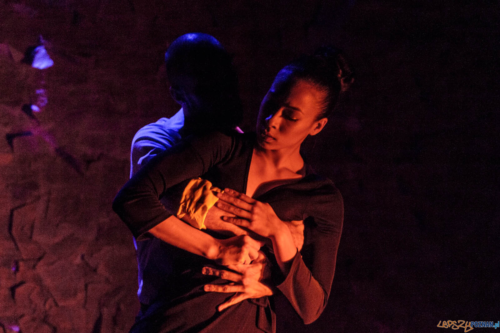 Czterdzieści Foto: lepszyPOZNAN.pl / Ewelina Jaskowiak Czterdzieści Foto: lepszyPOZNAN.pl / Ewelina Jaskowiak