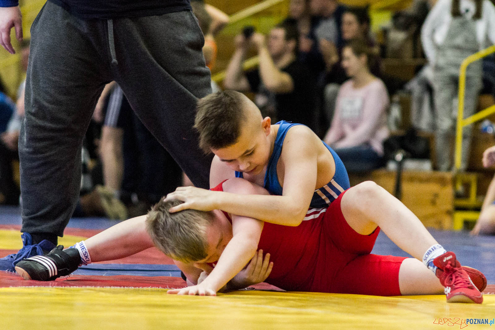 Zapasy z Gwiazdorem Foto: lepszyPOZNAN.pl / Ewelina Jaskowiak Zapasy z Gwiazdorem Foto: lepszyPOZNAN.pl / Ewelina Jaskowiak