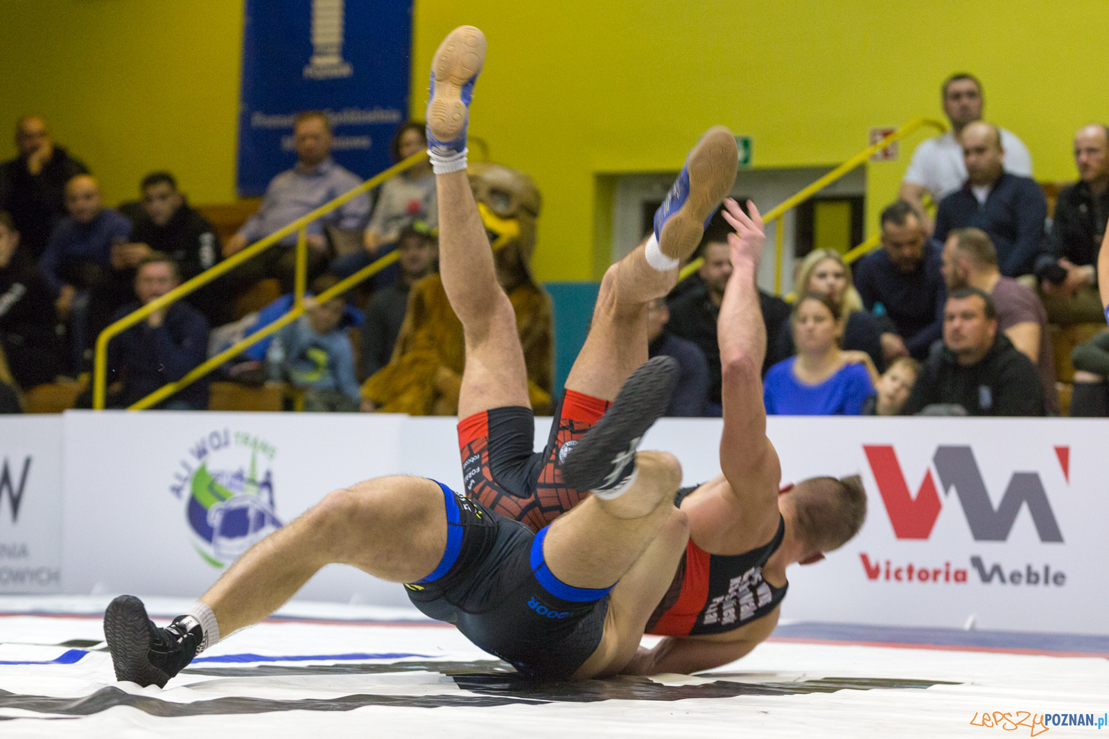 WZS WKS Grunwald – KS Sobieski Poznań - Boruta-Olimpijczyk Wr Foto: lepszyPOZNAN.pl/Piotr Rychter WZS WKS Grunwald – KS Sobieski Poznań - Boruta-Olimpijczyk Wr Foto: lepszyPOZNAN.pl/Piotr Rychter