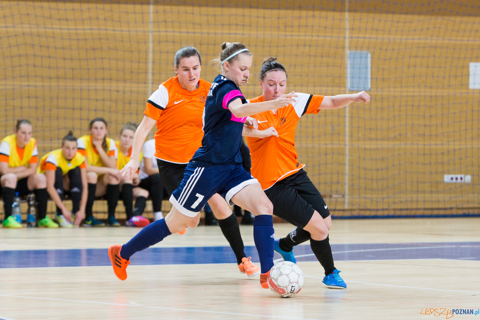 AZS UAM Poznań - AZS AWF Warszawa Foto: lepszyPOZNAN.pl/Piotr Rychter AZS UAM Poznań - AZS AWF Warszawa Foto: lepszyPOZNAN.pl/Piotr Rychter