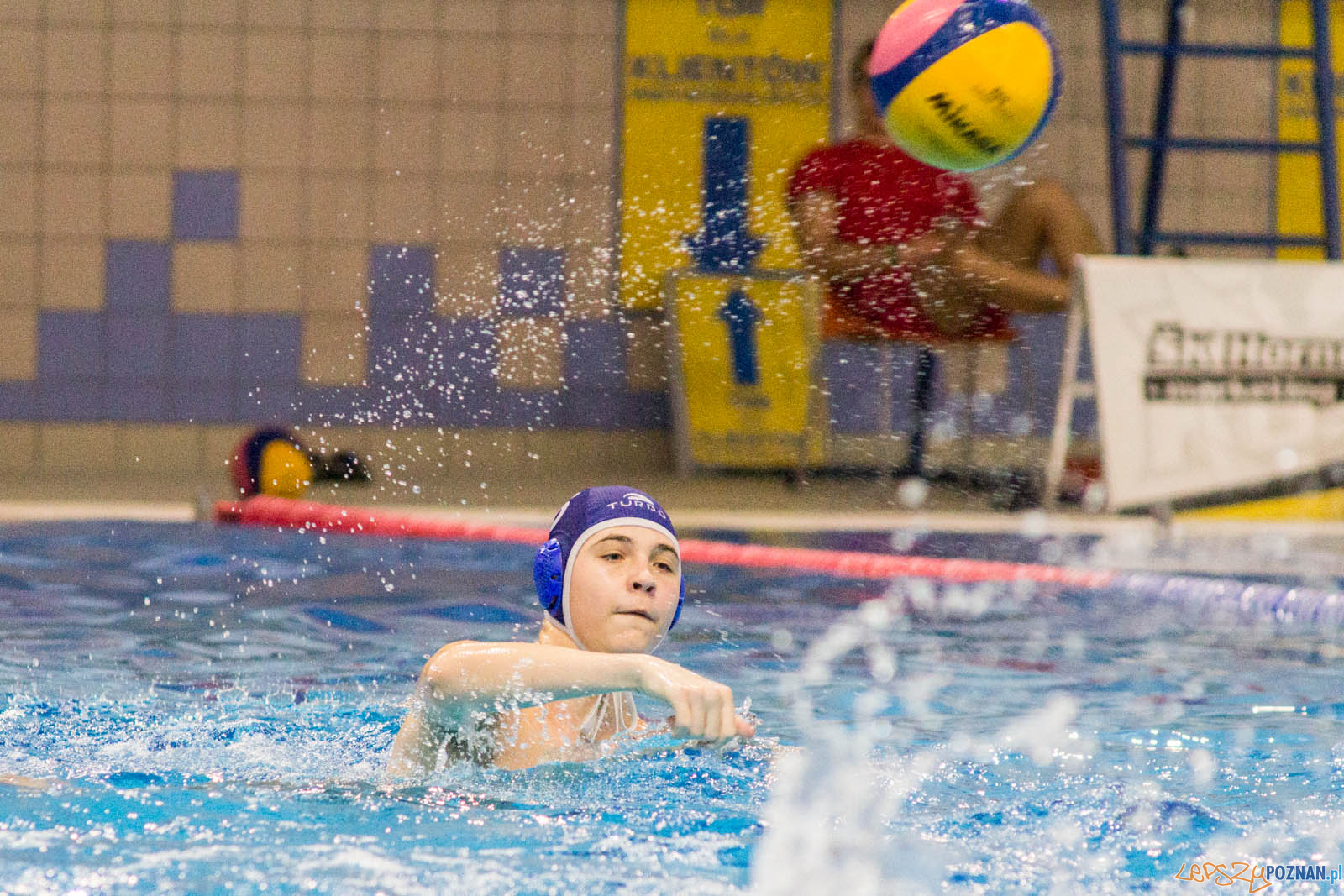 Junior Malta Waterpolo Cup 2017 Foto: lepszyPOZNAN.pl / Ewelina Jaskowiak Junior Malta Waterpolo Cup 2017 Foto: lepszyPOZNAN.pl / Ewelina Jaskowiak