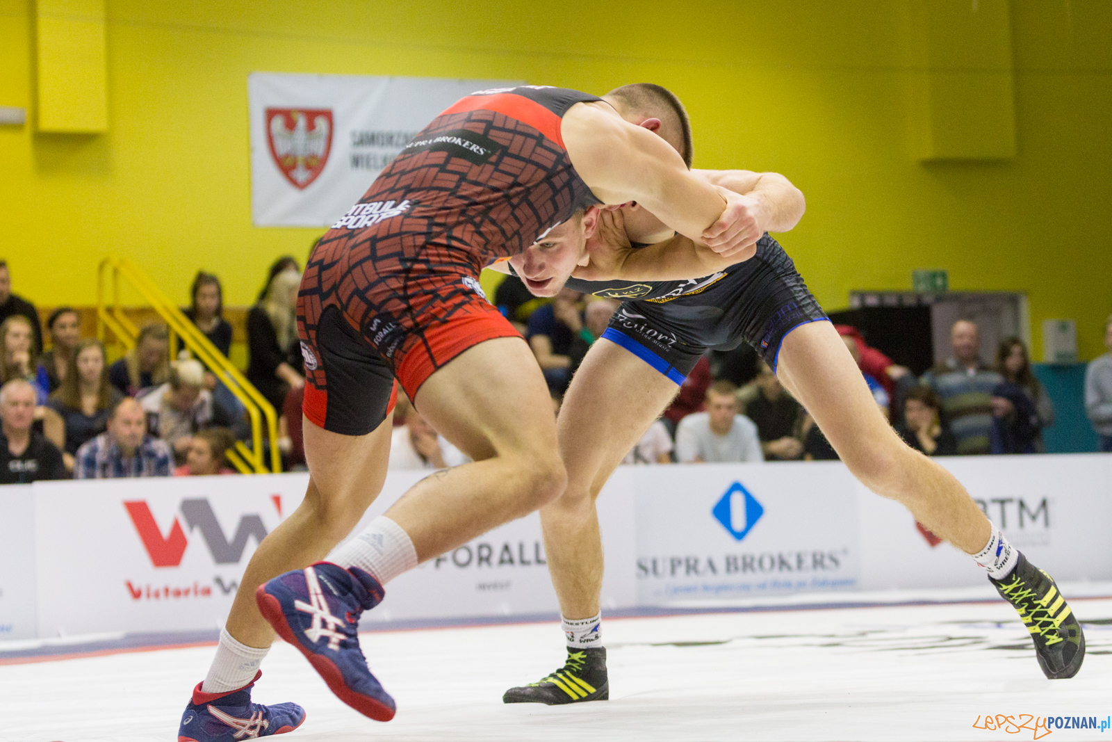 WZS WKS Grunwald – KS Sobieski Poznań - Boruta-Olimpijczyk Wr Foto: lepszyPOZNAN.pl/Piotr Rychter WZS WKS Grunwald – KS Sobieski Poznań - Boruta-Olimpijczyk Wr Foto: lepszyPOZNAN.pl/Piotr Rychter