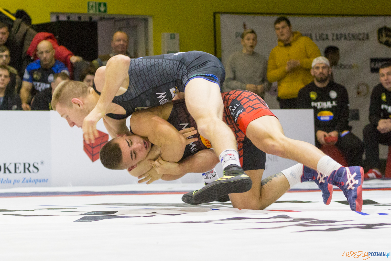 WZS WKS Grunwald – KS Sobieski Poznań - Boruta-Olimpijczyk Wr Foto: lepszyPOZNAN.pl/Piotr Rychter WZS WKS Grunwald – KS Sobieski Poznań - Boruta-Olimpijczyk Wr Foto: lepszyPOZNAN.pl/Piotr Rychter