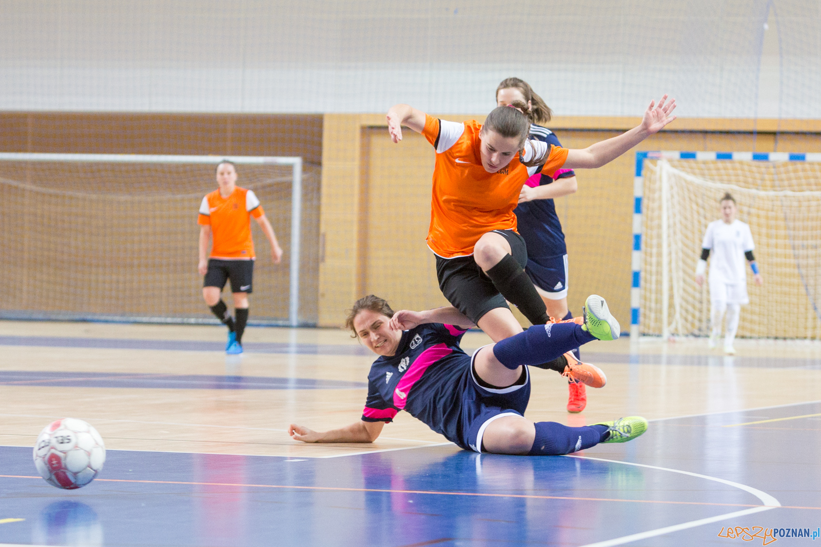 AZS UAM Poznań - AZS AWF Warszawa Foto: lepszyPOZNAN.pl/Piotr Rychter AZS UAM Poznań - AZS AWF Warszawa Foto: lepszyPOZNAN.pl/Piotr Rychter