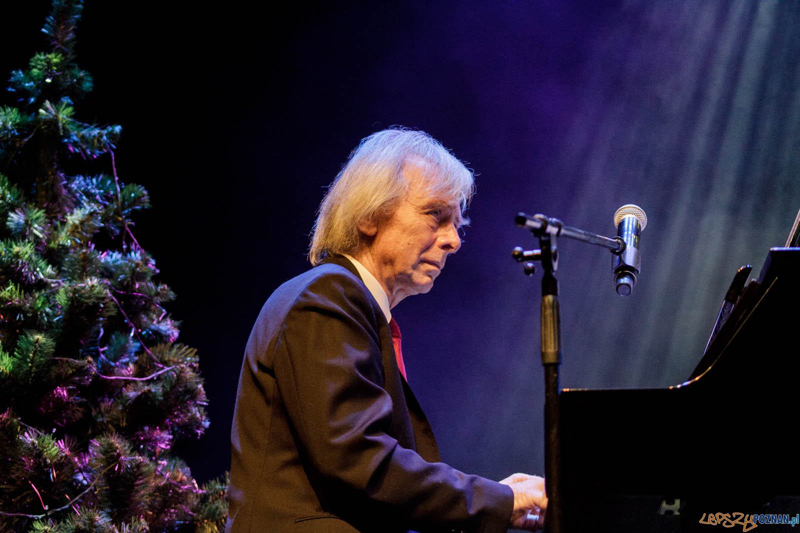 Gwiazdo Świeć, koledo leć Foto: lepszyPOZNAN.pl / Ewelina Jaskowiak Gwiazdo Świeć, koledo leć Foto: lepszyPOZNAN.pl / Ewelina Jaskowiak