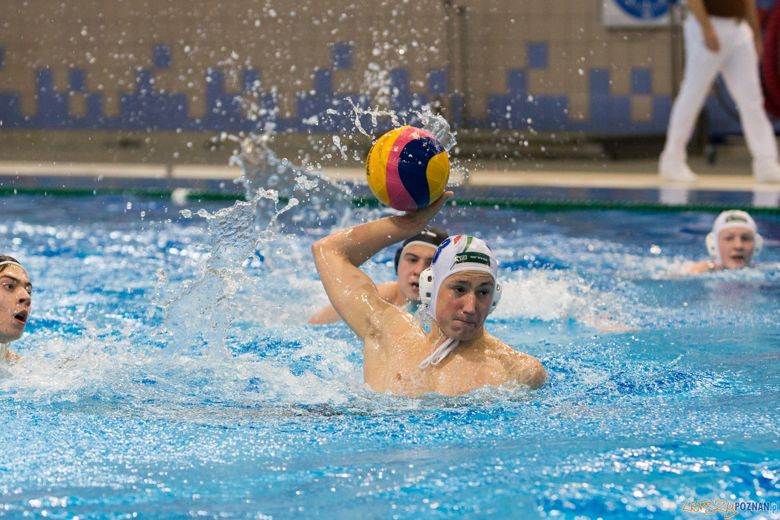 Malta Waterpolo Cup: Alfa Gorzów - Waterpolo Team Wielkopolska Foto: lepszyPOZNAN.pl/Piotr Rychter Malta Waterpolo Cup: Alfa Gorzów - Waterpolo Team Wielkopolska Foto: lepszyPOZNAN.pl/Piotr Rychter