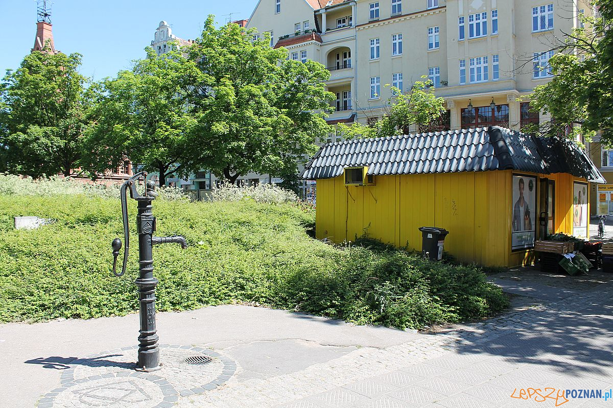 Skwer Wilhelmiego Foto: T. Dworek / ROSM Skwer Wilhelmiego Foto: T. Dworek / ROSM