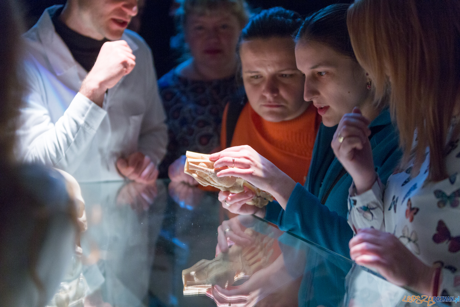 Body Worlds Foto: lepszyPOZNAN.pl/Piotr Rychter Body Worlds Foto: lepszyPOZNAN.pl/Piotr Rychter