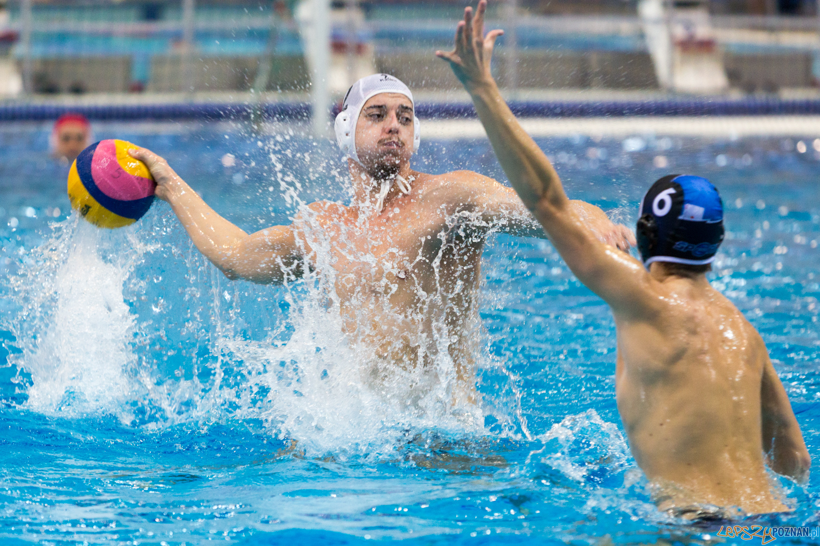Malta Waterpolo Cup 2017 Foto: lepszyPOZNAN.pl/Piotr Rychter Malta Waterpolo Cup 2017 Foto: lepszyPOZNAN.pl/Piotr Rychter