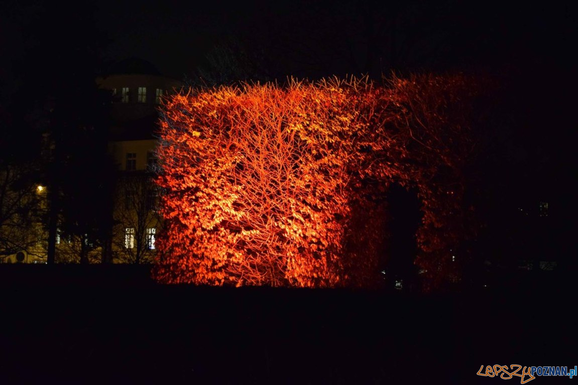 Podswietlony skwer nad Warta Foto: Zarząd Zieleni Miejskiej Podswietlony skwer nad Warta Foto: Zarząd Zieleni Miejskiej