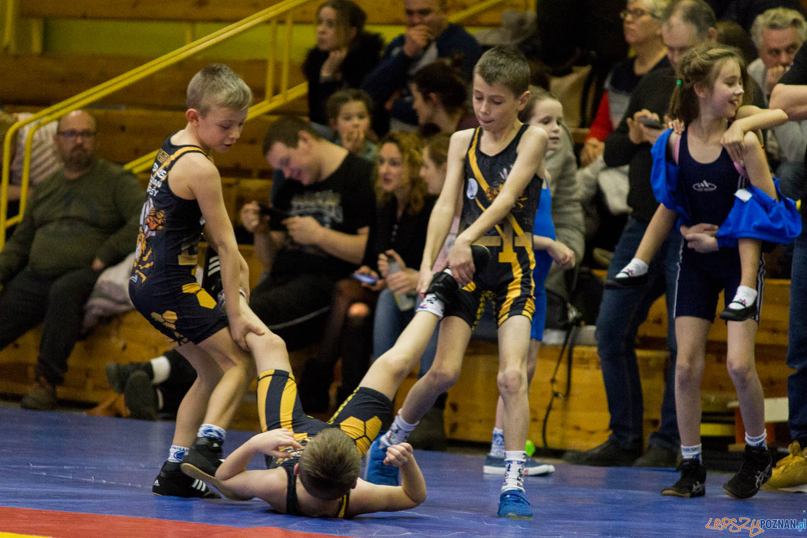 Zapasy z Gwiazdorem Foto: lepszyPOZNAN.pl / Ewelina Jaskowiak Zapasy z Gwiazdorem Foto: lepszyPOZNAN.pl / Ewelina Jaskowiak