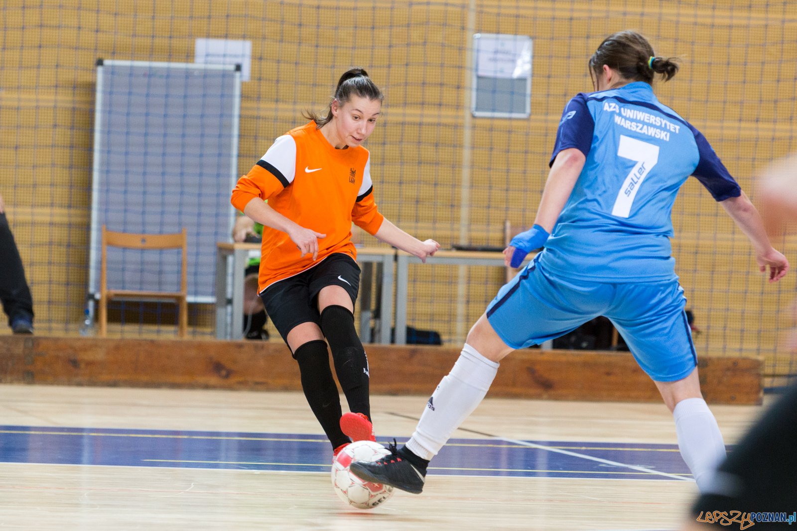 AZS UAM Poznań - AZS UW Warszawa Foto: lepszyPOZNAN.pl/Piotr Rychter AZS UAM Poznań - AZS UW Warszawa Foto: lepszyPOZNAN.pl/Piotr Rychter