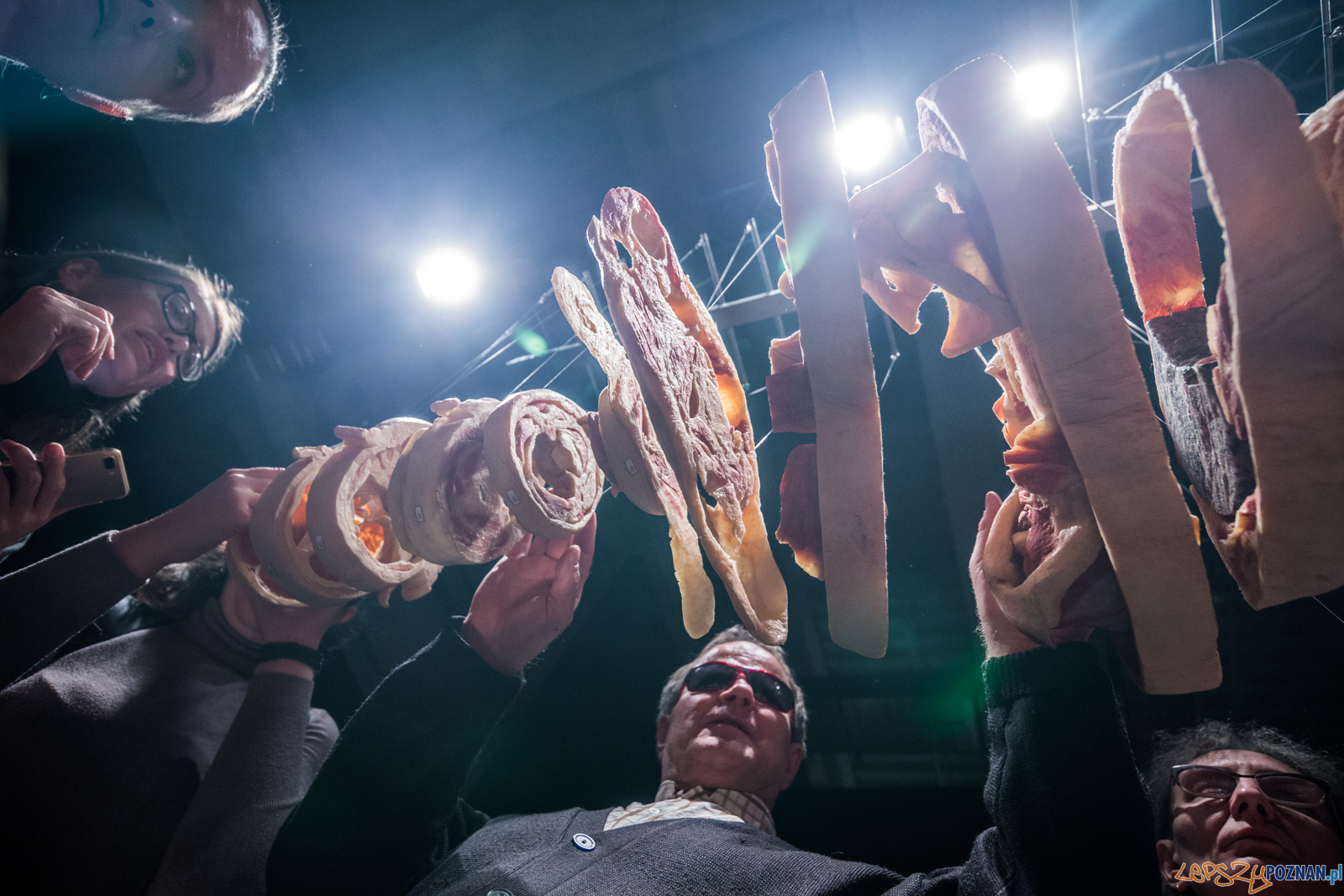 Body Worlds Foto: lepszyPOZNAN.pl/Piotr Rychter Body Worlds Foto: lepszyPOZNAN.pl/Piotr Rychter