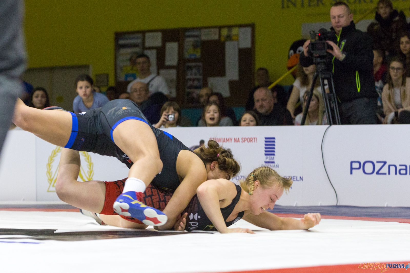 WZS WKS Grunwald – KS Sobieski Poznań - Boruta-Olimpijczyk Wr Foto: lepszyPOZNAN.pl/Piotr Rychter WZS WKS Grunwald – KS Sobieski Poznań - Boruta-Olimpijczyk Wr Foto: lepszyPOZNAN.pl/Piotr Rychter