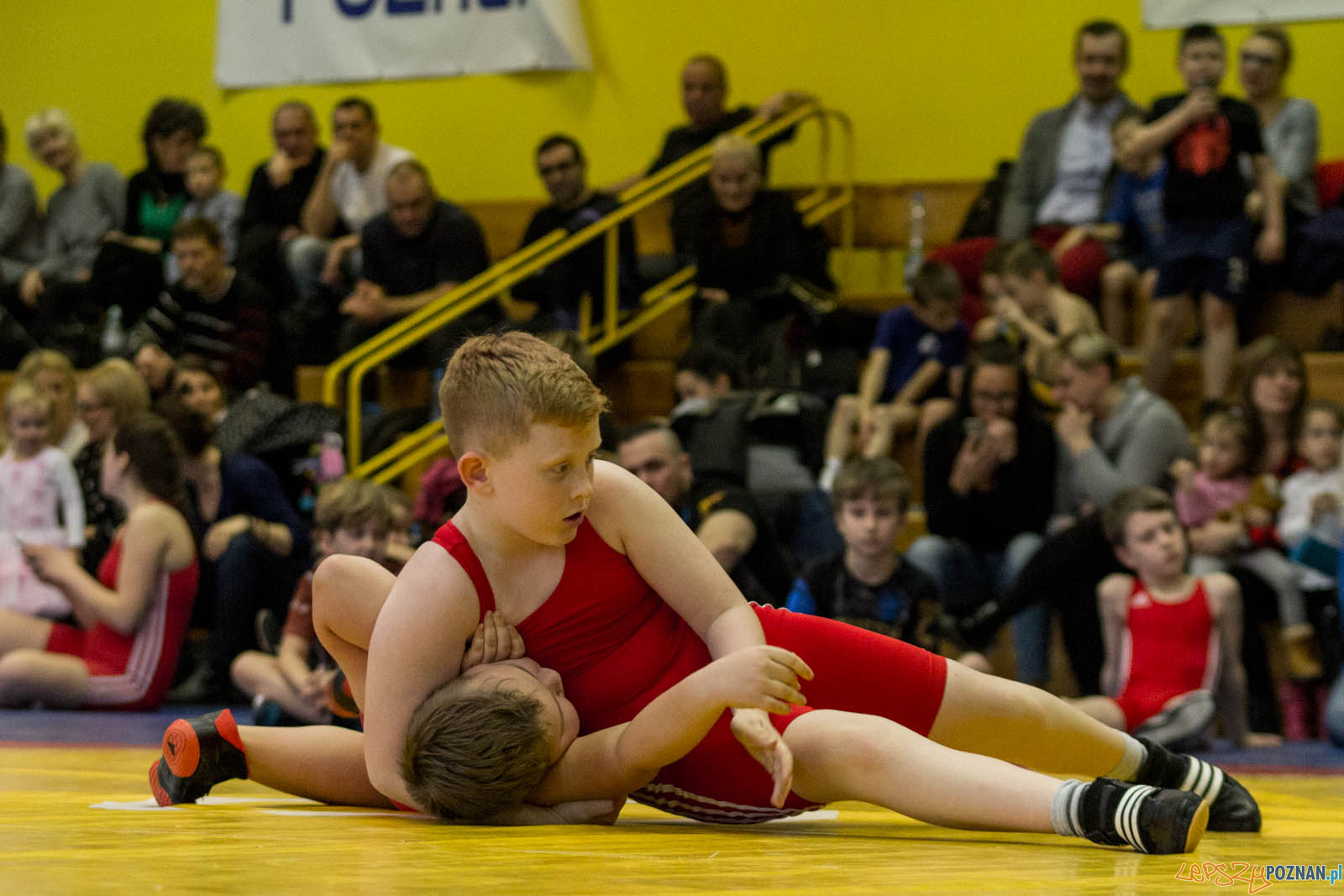 Zapasy z Gwiazdorem Foto: lepszyPOZNAN.pl / Ewelina Jaskowiak Zapasy z Gwiazdorem Foto: lepszyPOZNAN.pl / Ewelina Jaskowiak