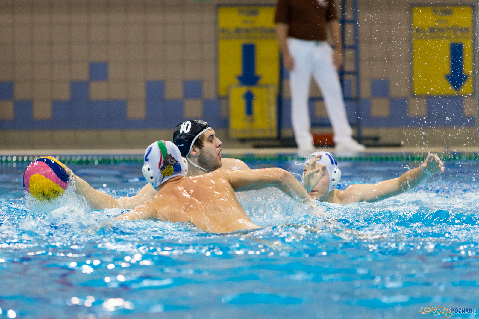 Malta Waterpolo Cup: Alfa Gorzów - Waterpolo Team Wielkopolska Foto: lepszyPOZNAN.pl/Piotr Rychter Malta Waterpolo Cup: Alfa Gorzów - Waterpolo Team Wielkopolska Foto: lepszyPOZNAN.pl/Piotr Rychter