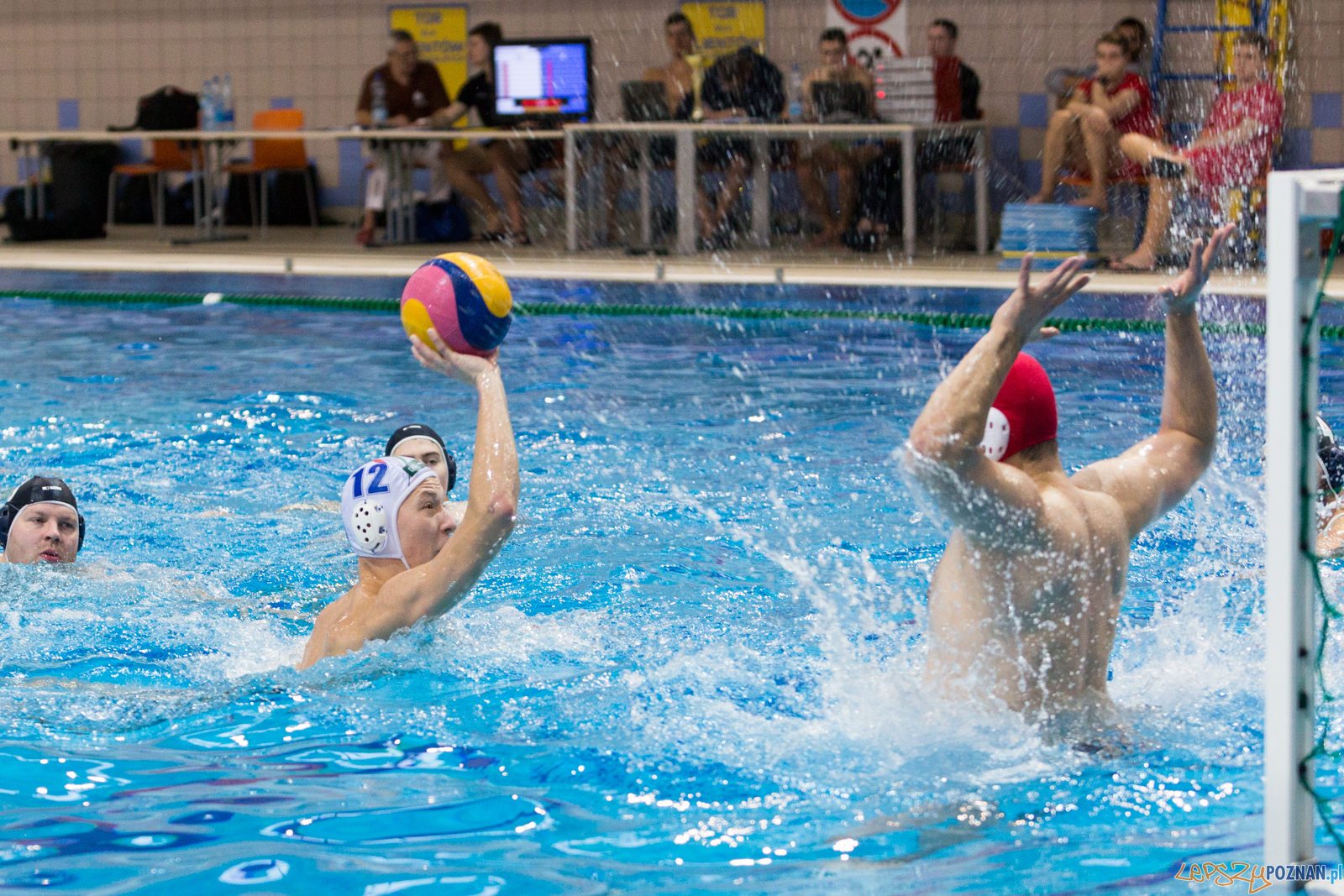 Malta Waterpolo Cup: Alfa Gorzów - Waterpolo Team Wielkopolska Foto: lepszyPOZNAN.pl/Piotr Rychter Malta Waterpolo Cup: Alfa Gorzów - Waterpolo Team Wielkopolska Foto: lepszyPOZNAN.pl/Piotr Rychter