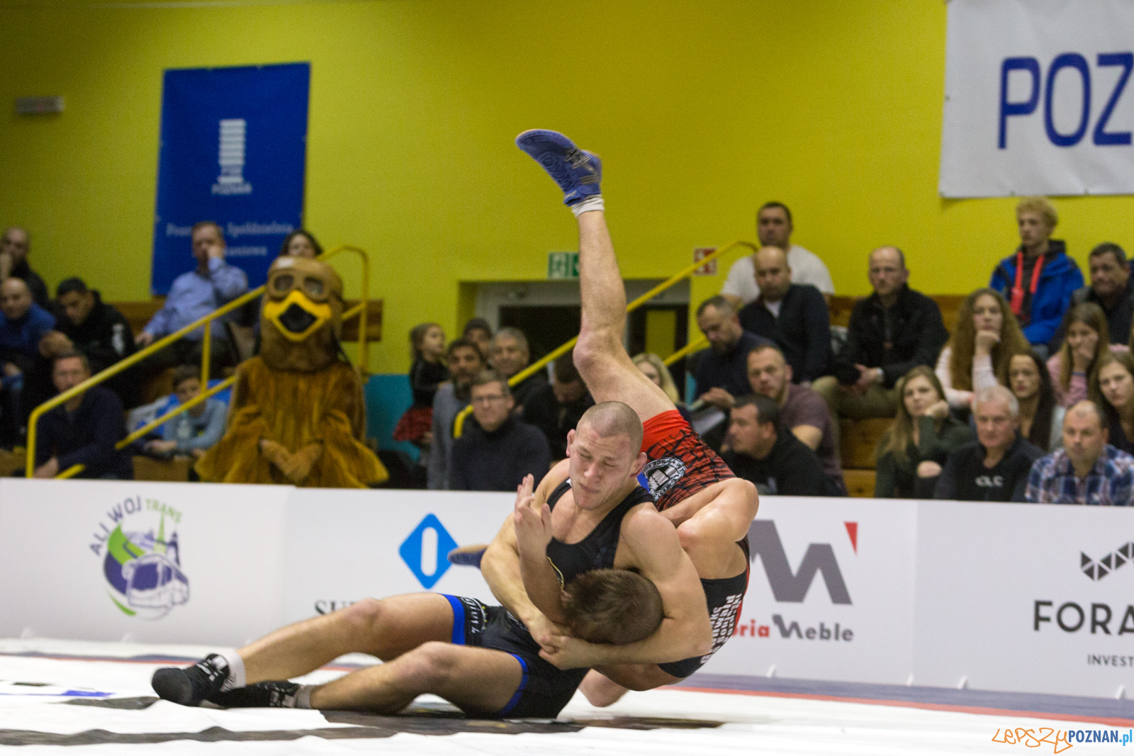 WZS WKS Grunwald – KS Sobieski Poznań - Boruta-Olimpijczyk Wr Foto: lepszyPOZNAN.pl/Piotr Rychter WZS WKS Grunwald – KS Sobieski Poznań - Boruta-Olimpijczyk Wr Foto: lepszyPOZNAN.pl/Piotr Rychter