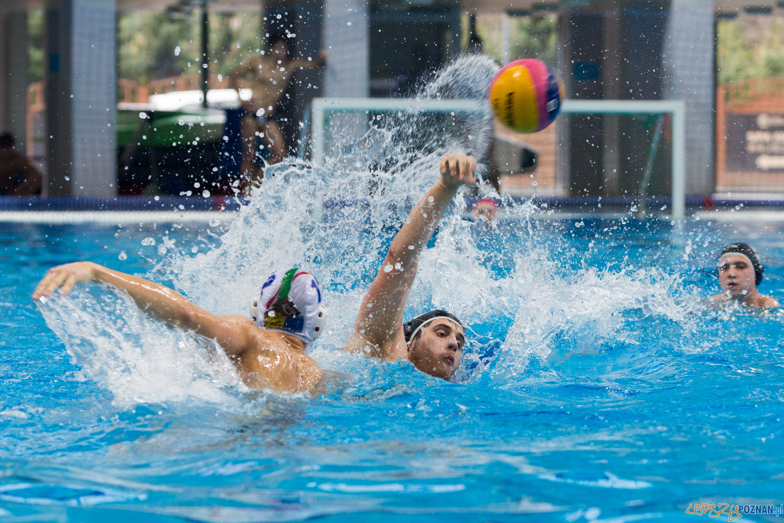 Malta Waterpolo Cup: Alfa Gorzów - Waterpolo Team Wielkopolska Foto: lepszyPOZNAN.pl/Piotr Rychter Malta Waterpolo Cup: Alfa Gorzów - Waterpolo Team Wielkopolska Foto: lepszyPOZNAN.pl/Piotr Rychter
