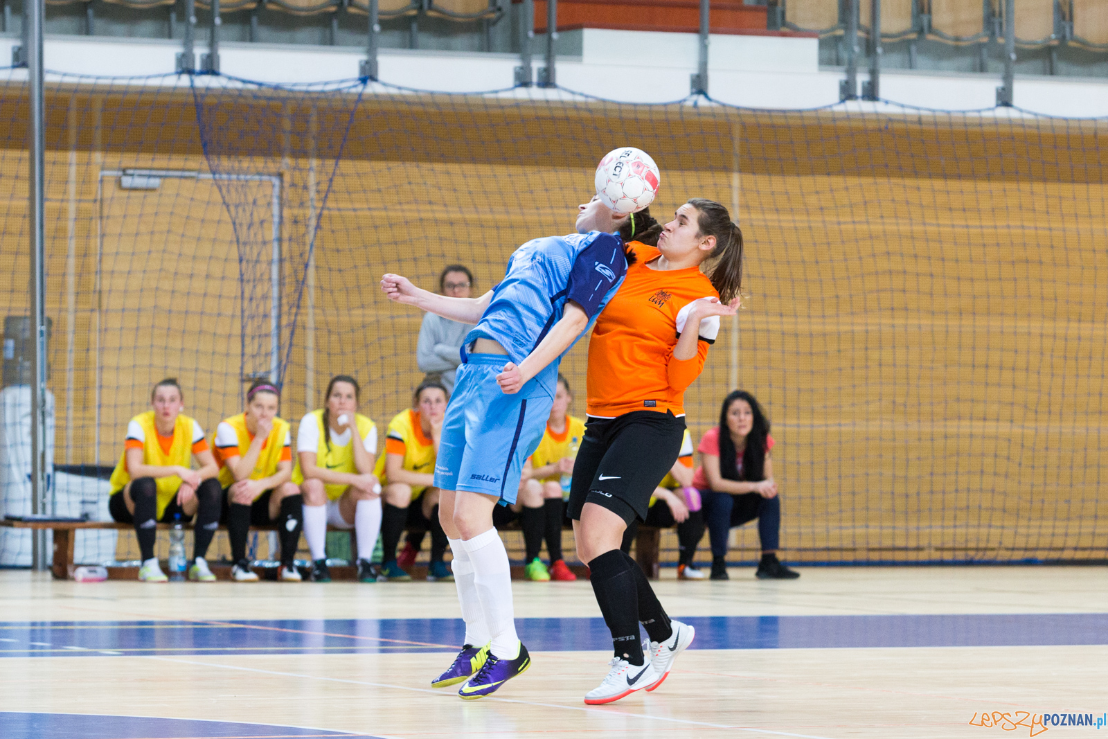 AZS UAM Poznań - AZS UW Warszawa Foto: lepszyPOZNAN.pl/Piotr Rychter AZS UAM Poznań - AZS UW Warszawa Foto: lepszyPOZNAN.pl/Piotr Rychter