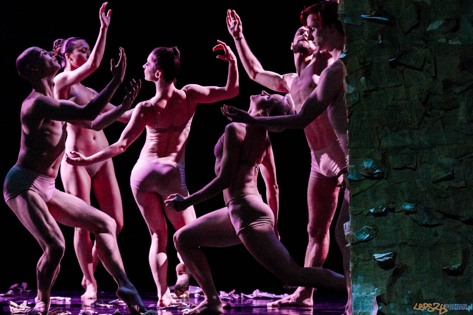 Czterdzieści Foto: lepszyPOZNAN.pl / Ewelina Jaskowiak Czterdzieści Foto: lepszyPOZNAN.pl / Ewelina Jaskowiak