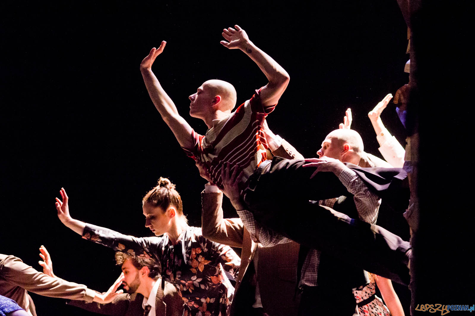 Czterdzieści Foto: lepszyPOZNAN.pl / Ewelina Jaskowiak Czterdzieści Foto: lepszyPOZNAN.pl / Ewelina Jaskowiak