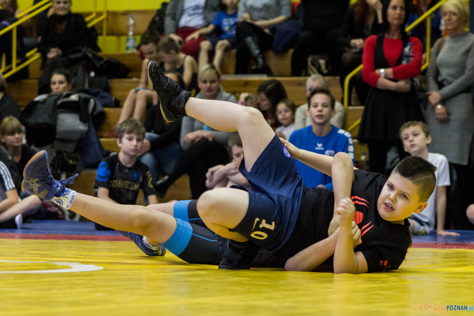 Zapasy z Gwiazdorem Foto: lepszyPOZNAN.pl / Ewelina Jaskowiak Zapasy z Gwiazdorem Foto: lepszyPOZNAN.pl / Ewelina Jaskowiak