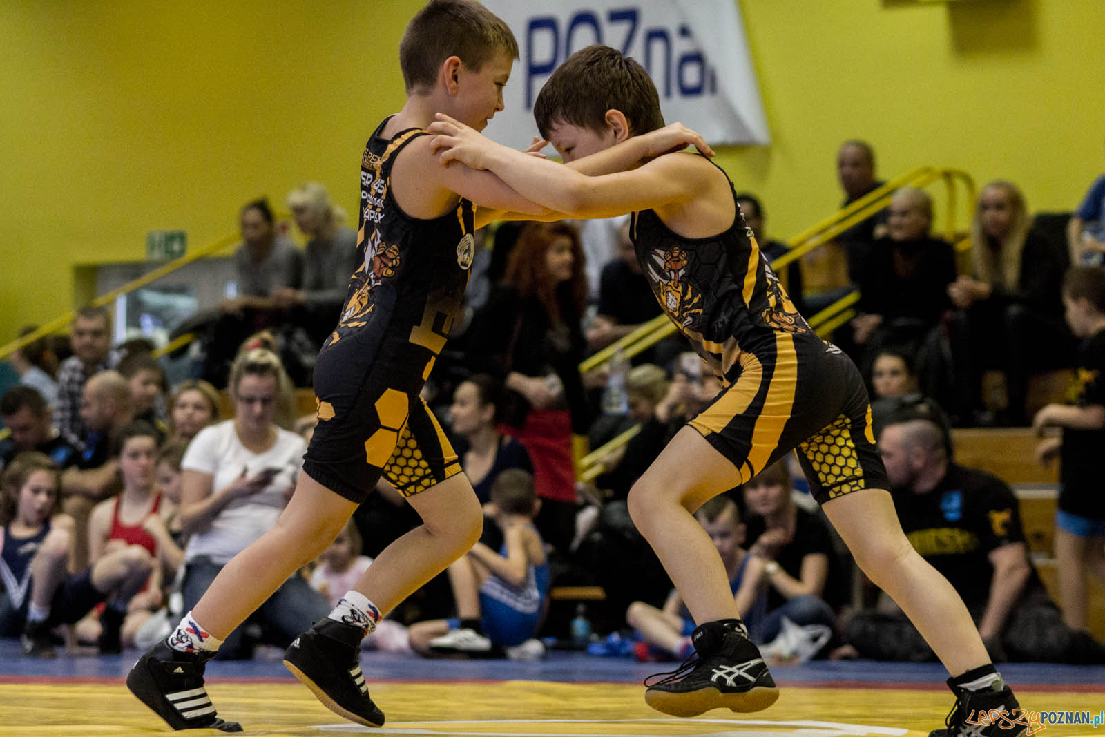 Zapasy z Gwiazdorem Foto: lepszyPOZNAN.pl / Ewelina Jaskowiak Zapasy z Gwiazdorem Foto: lepszyPOZNAN.pl / Ewelina Jaskowiak