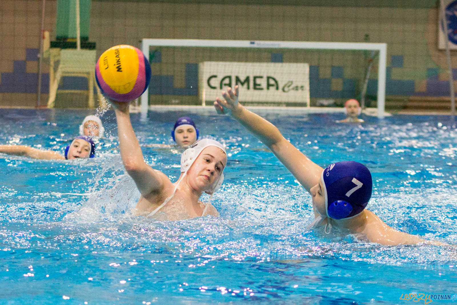 Junior Malta Waterpolo Cup 2017 Foto: lepszyPOZNAN.pl / Ewelina Jaskowiak Junior Malta Waterpolo Cup 2017 Foto: lepszyPOZNAN.pl / Ewelina Jaskowiak