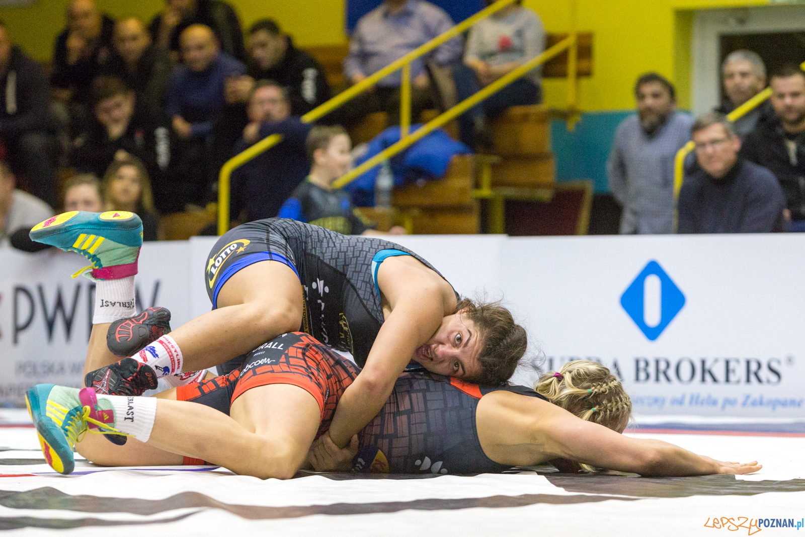 WZS WKS Grunwald – KS Sobieski Poznań - Boruta-Olimpijczyk Wr Foto: lepszyPOZNAN.pl/Piotr Rychter WZS WKS Grunwald – KS Sobieski Poznań - Boruta-Olimpijczyk Wr Foto: lepszyPOZNAN.pl/Piotr Rychter