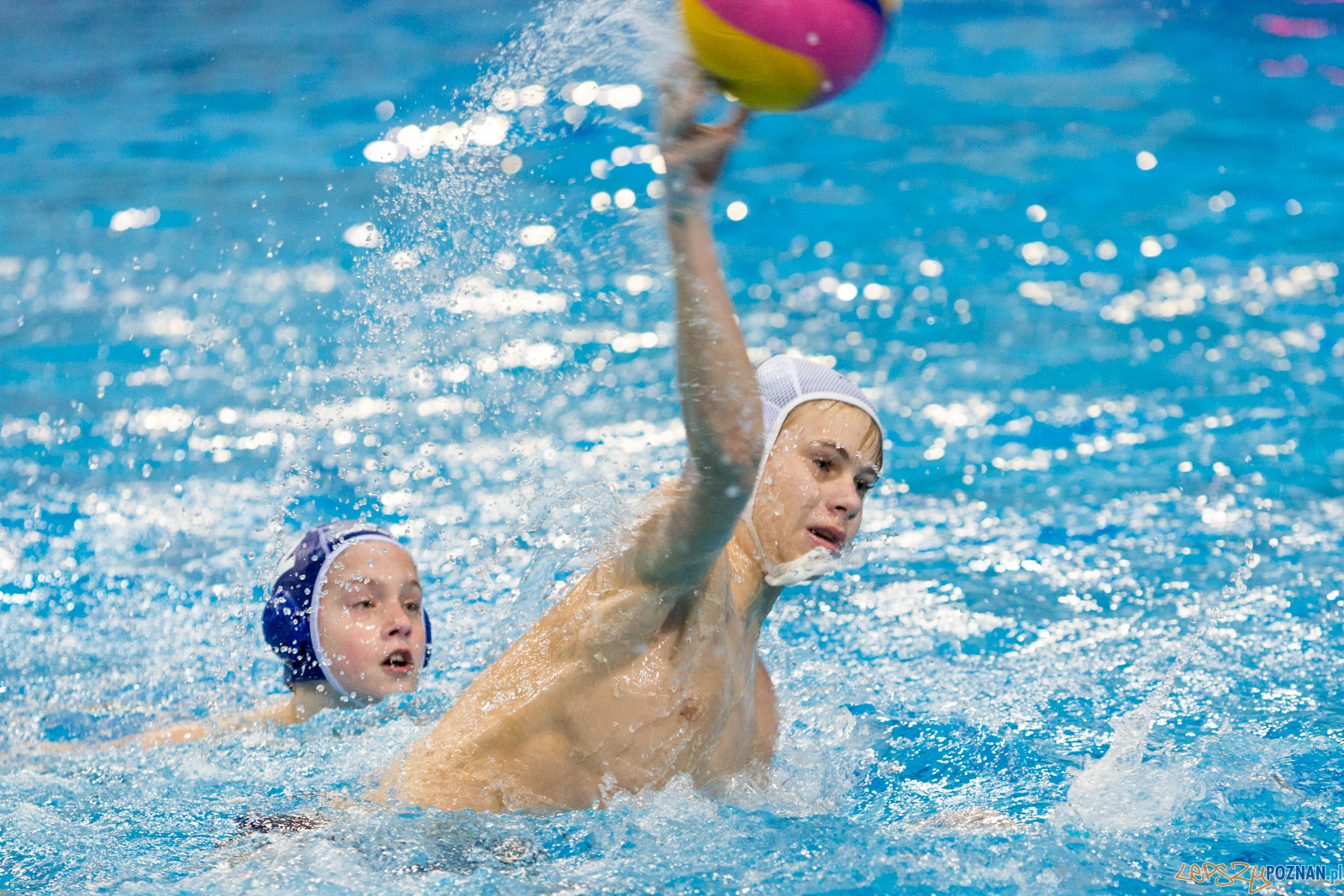 Junior Malta Waterpolo Cup 2017 Foto: lepszyPOZNAN.pl/Piotr Rychter Junior Malta Waterpolo Cup 2017 Foto: lepszyPOZNAN.pl/Piotr Rychter