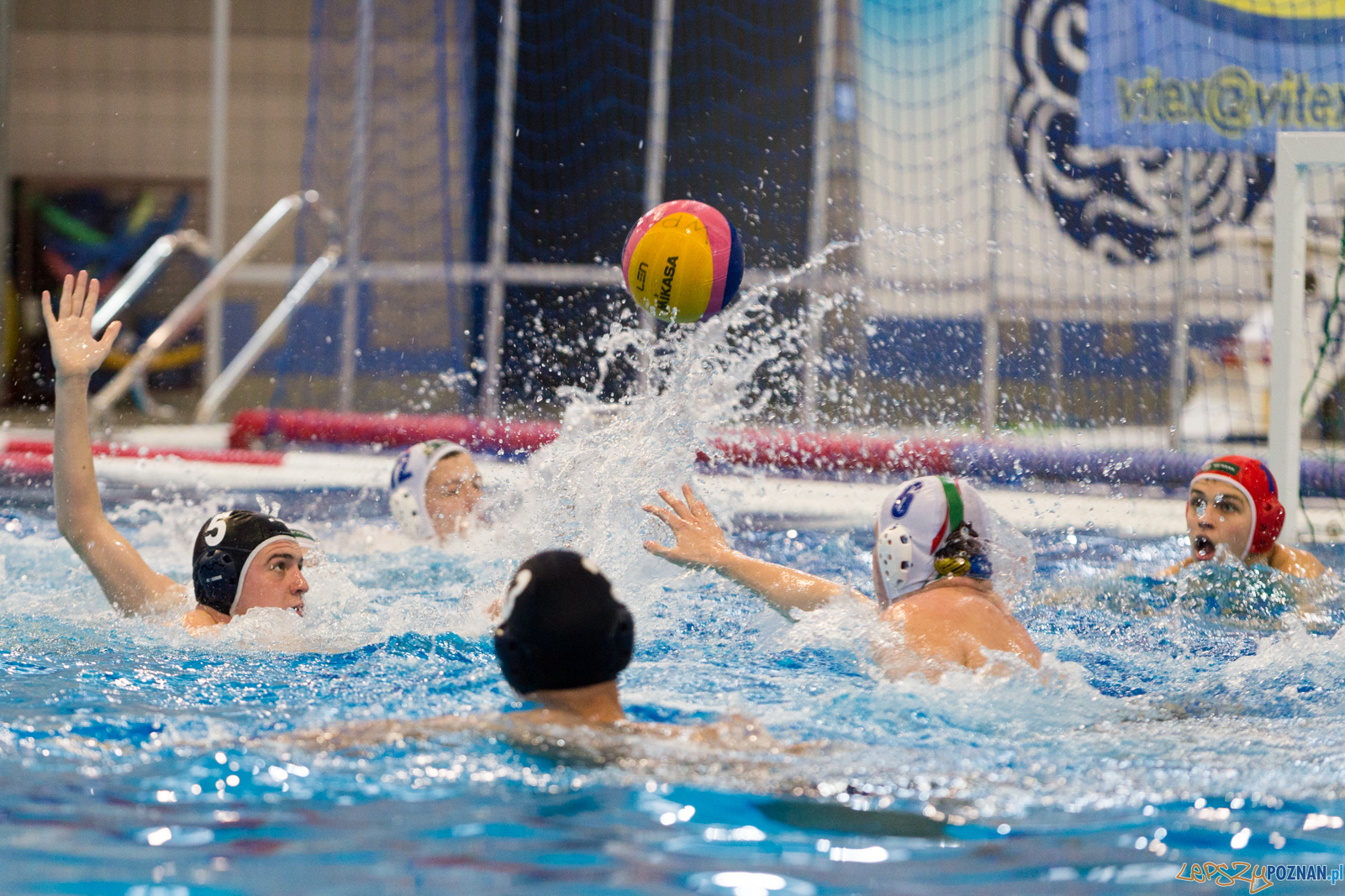 Malta Waterpolo Cup: Alfa Gorzów - Waterpolo Team Wielkopolska Foto: lepszyPOZNAN.pl/Piotr Rychter Malta Waterpolo Cup: Alfa Gorzów - Waterpolo Team Wielkopolska Foto: lepszyPOZNAN.pl/Piotr Rychter