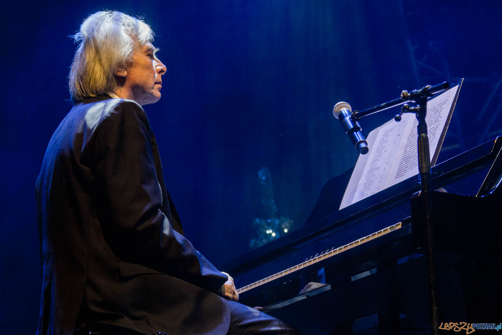 Gwiazdo Świeć, koledo leć Foto: lepszyPOZNAN.pl / Ewelina Jaskowiak Gwiazdo Świeć, koledo leć Foto: lepszyPOZNAN.pl / Ewelina Jaskowiak