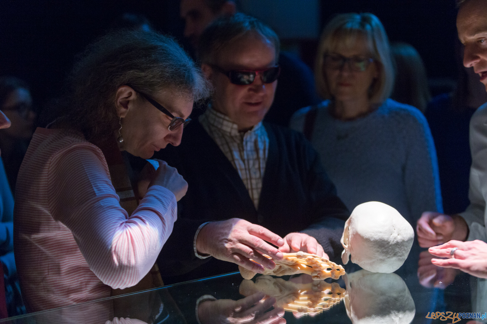 Body Worlds Foto: lepszyPOZNAN.pl/Piotr Rychter Body Worlds Foto: lepszyPOZNAN.pl/Piotr Rychter