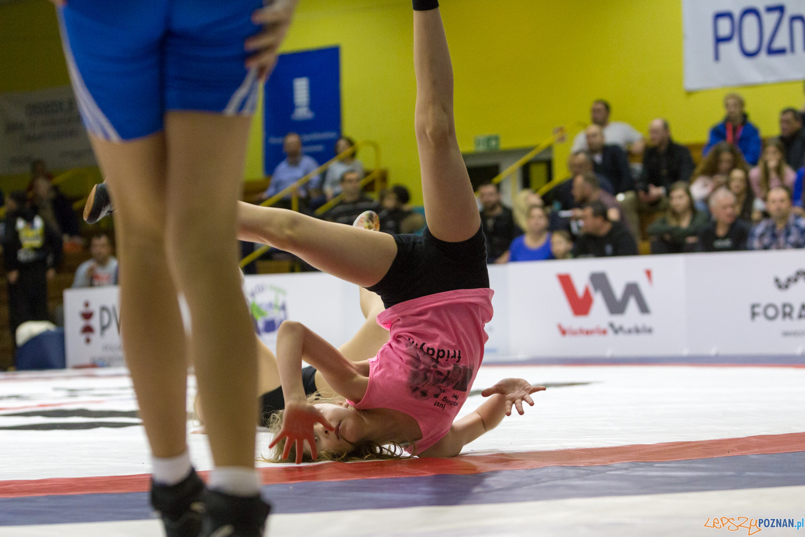 WZS WKS Grunwald – KS Sobieski Poznań - Boruta-Olimpijczyk Wr Foto: lepszyPOZNAN.pl/Piotr Rychter WZS WKS Grunwald – KS Sobieski Poznań - Boruta-Olimpijczyk Wr Foto: lepszyPOZNAN.pl/Piotr Rychter