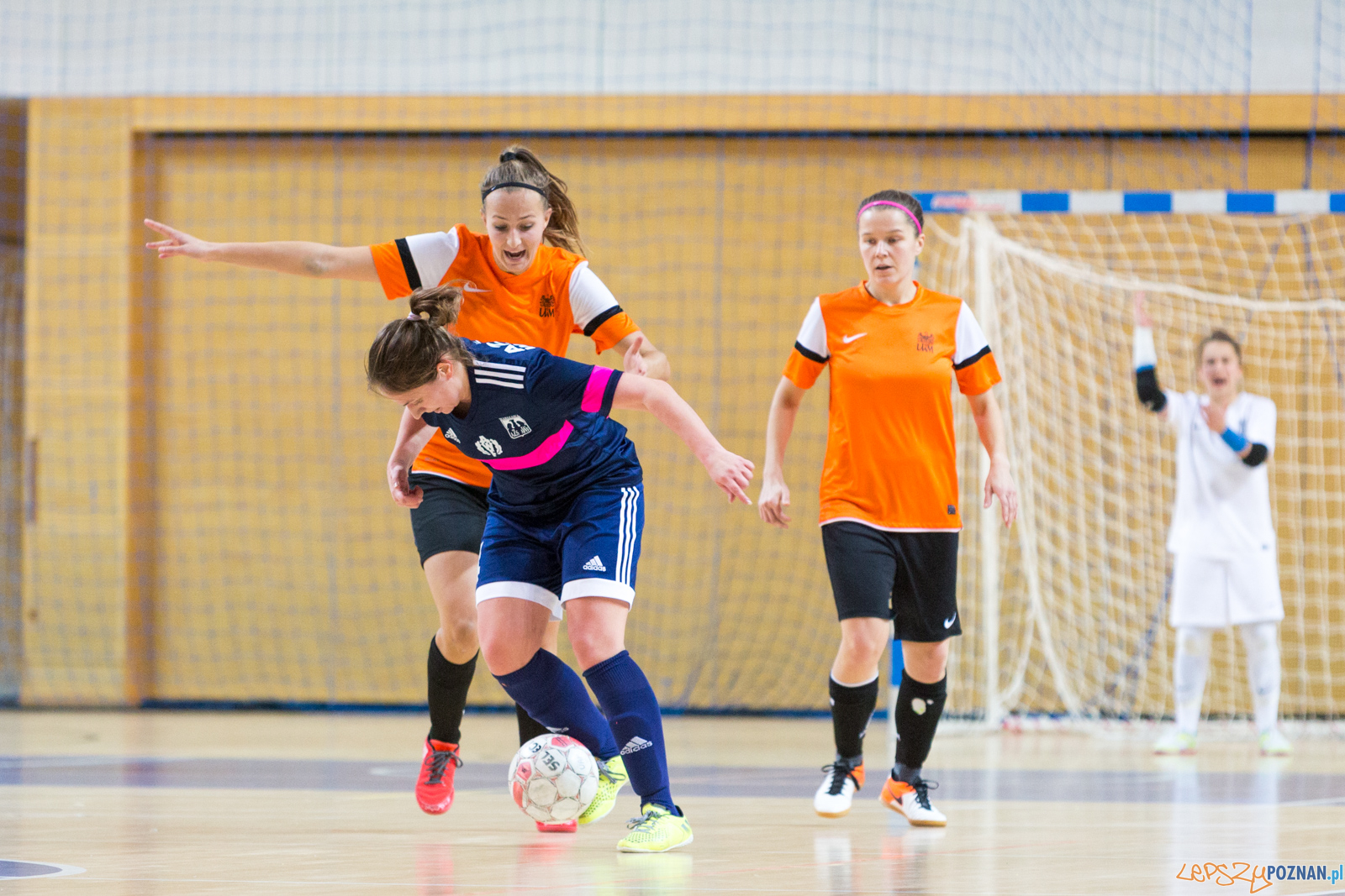 AZS UAM Poznań - AZS AWF Warszawa Foto: lepszyPOZNAN.pl/Piotr Rychter AZS UAM Poznań - AZS AWF Warszawa Foto: lepszyPOZNAN.pl/Piotr Rychter