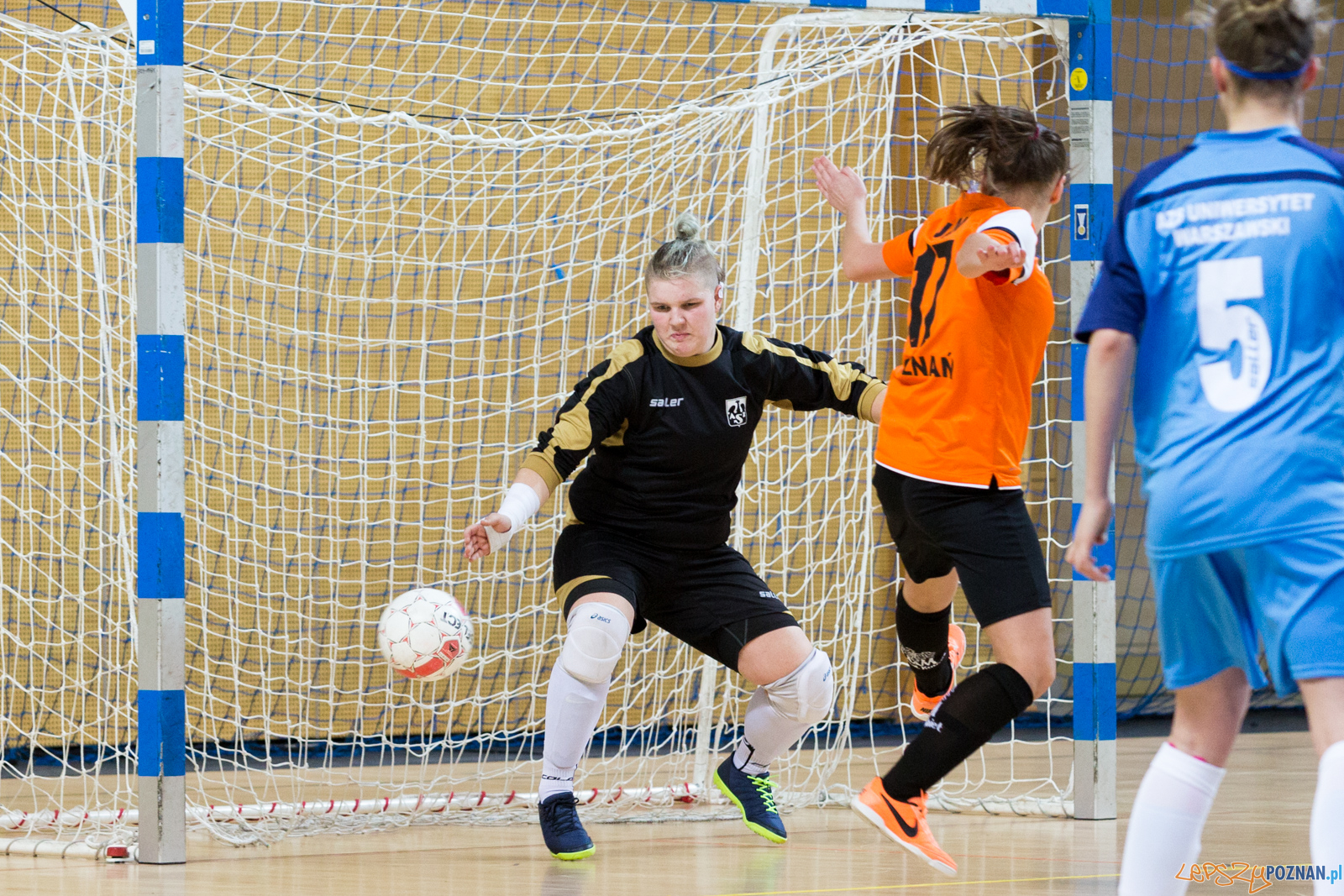 AZS UAM Poznań - AZS UW Warszawa Foto: lepszyPOZNAN.pl/Piotr Rychter AZS UAM Poznań - AZS UW Warszawa Foto: lepszyPOZNAN.pl/Piotr Rychter