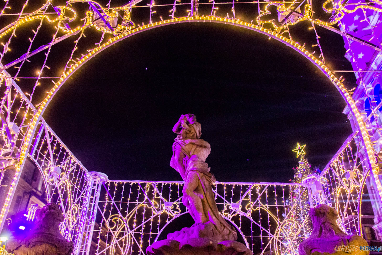 Rozświetlenie choinki miejskiej Foto: lepszyPOZNAN.pl / Ewelina Jaskowiak Rozświetlenie choinki miejskiej Foto: lepszyPOZNAN.pl / Ewelina Jaskowiak