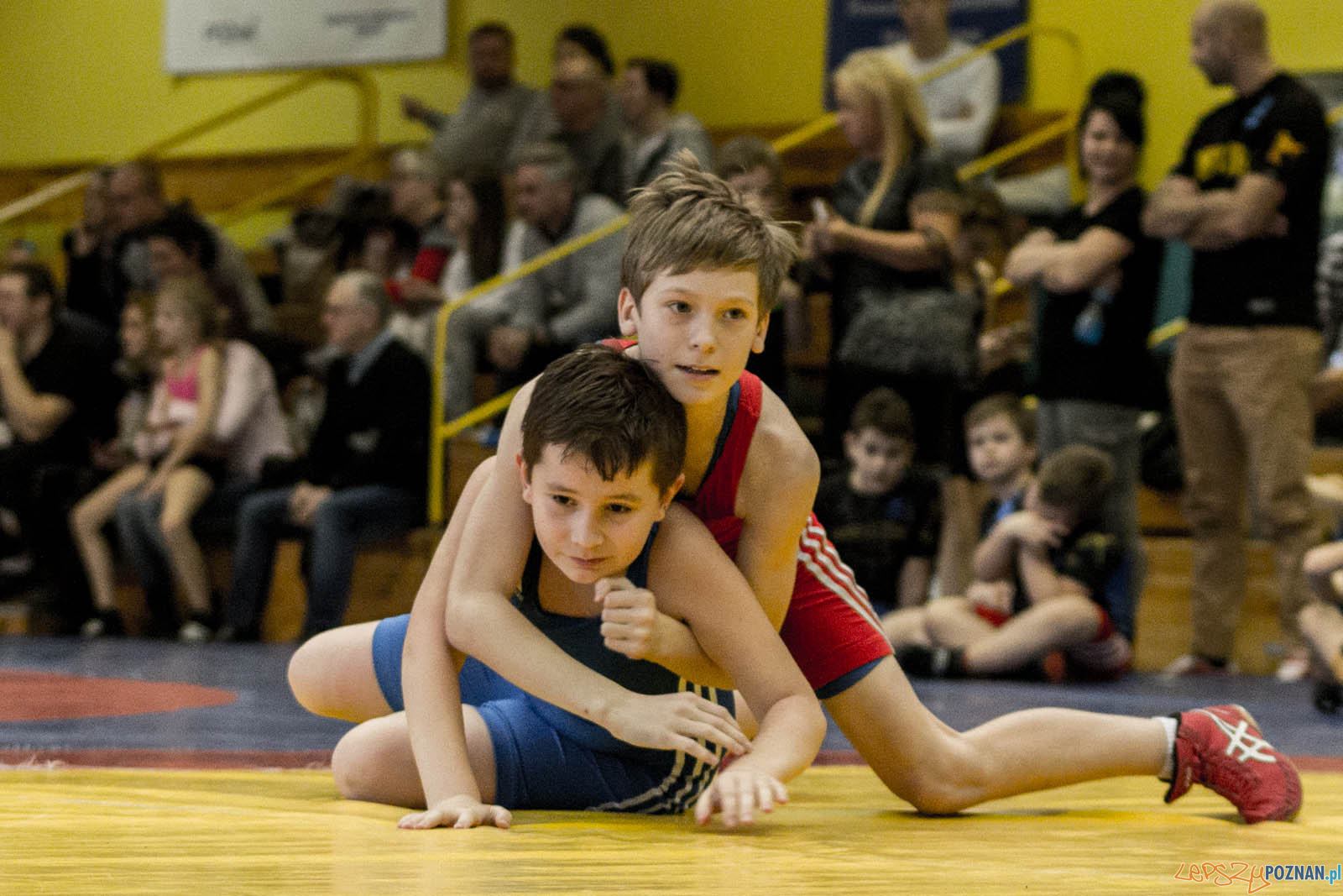 Zapasy z Gwiazdorem Foto: lepszyPOZNAN.pl / Ewelina Jaskowiak Zapasy z Gwiazdorem Foto: lepszyPOZNAN.pl / Ewelina Jaskowiak