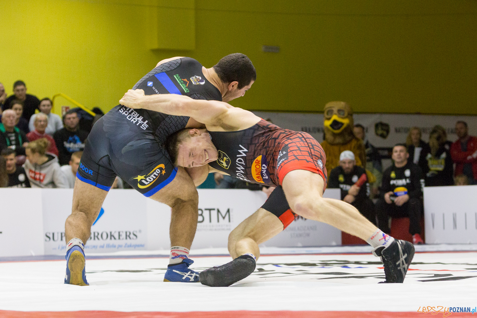 WZS WKS Grunwald – KS Sobieski Poznań - Boruta-Olimpijczyk Wr Foto: lepszyPOZNAN.pl/Piotr Rychter WZS WKS Grunwald – KS Sobieski Poznań - Boruta-Olimpijczyk Wr Foto: lepszyPOZNAN.pl/Piotr Rychter