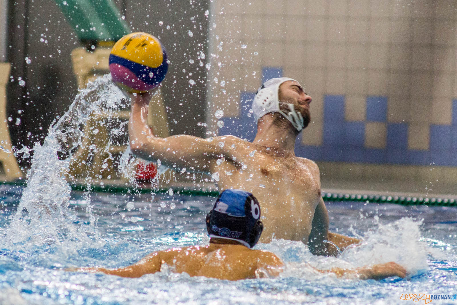 Malta Waterpolo Cup 2017 Foto: lepszyPOZNAN.pl / Ewelina Jaskowiak Malta Waterpolo Cup 2017 Foto: lepszyPOZNAN.pl / Ewelina Jaskowiak