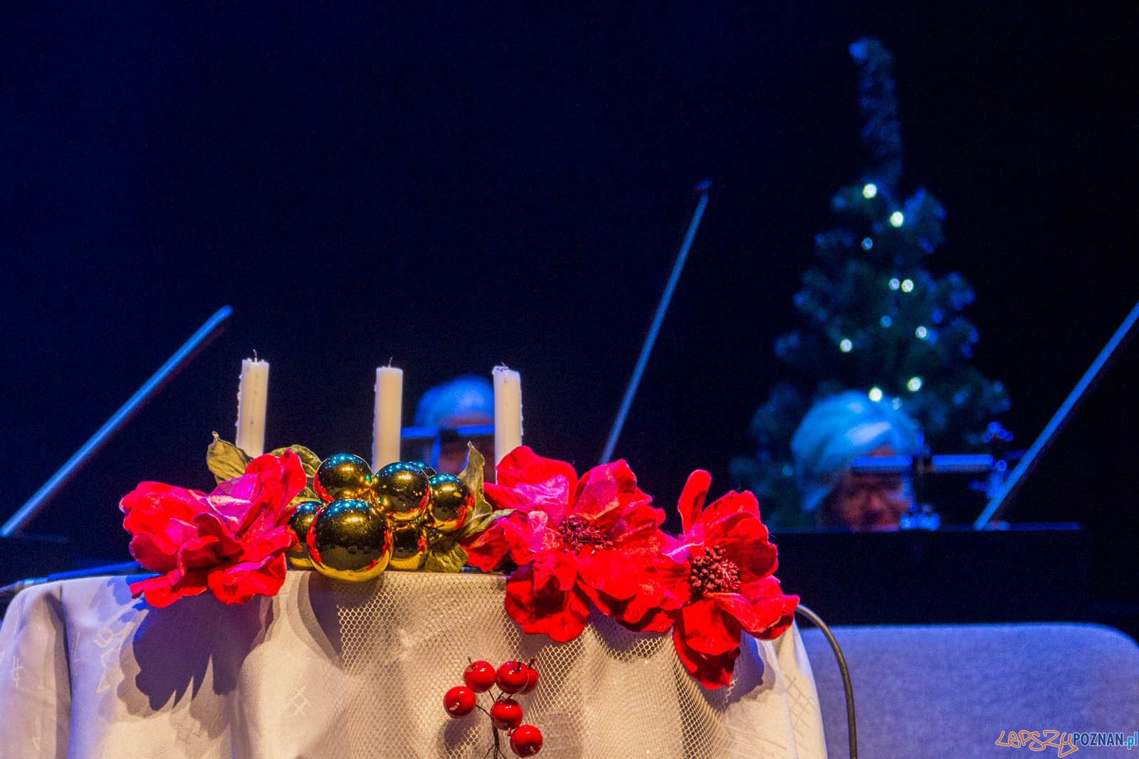 Gwiazdo Świeć, koledo leć Foto: lepszyPOZNAN.pl / Ewelina Jaskowiak Gwiazdo Świeć, koledo leć Foto: lepszyPOZNAN.pl / Ewelina Jaskowiak