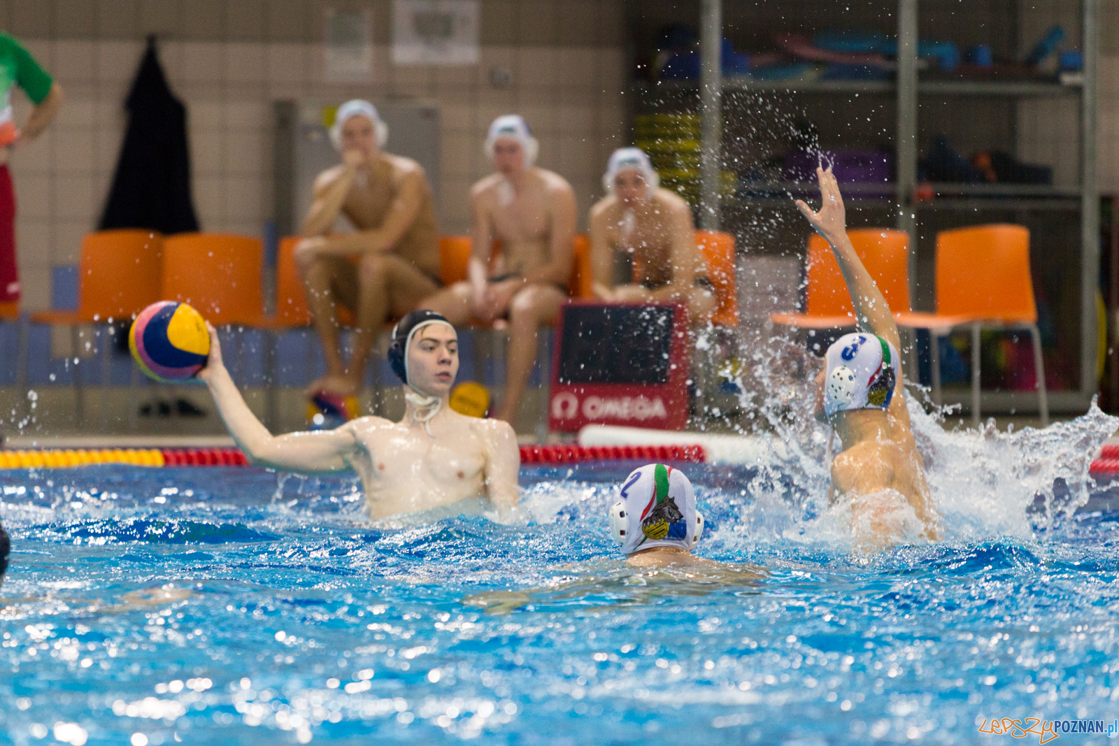 Malta Waterpolo Cup: Alfa Gorzów - Waterpolo Team Wielkopolska Foto: lepszyPOZNAN.pl/Piotr Rychter Malta Waterpolo Cup: Alfa Gorzów - Waterpolo Team Wielkopolska Foto: lepszyPOZNAN.pl/Piotr Rychter