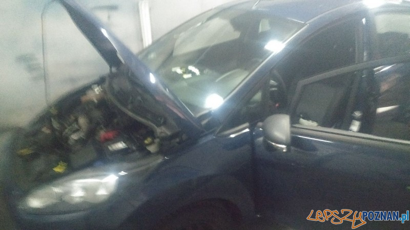 Policjanci zlikwidowali dziuplę Foto: KMP Poznań Policjanci zlikwidowali dziuplę Foto: KMP Poznań