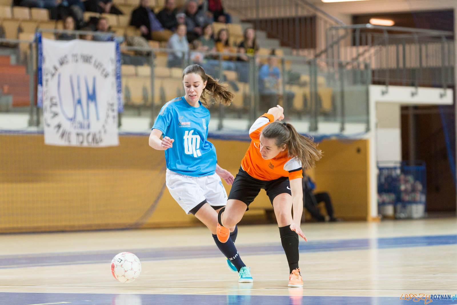 AZS UAM Poznań - Kotwica Kórnik Foto: lepszyPOZNAN.pl/Piotr Rychter AZS UAM Poznań - Kotwica Kórnik Foto: lepszyPOZNAN.pl/Piotr Rychter