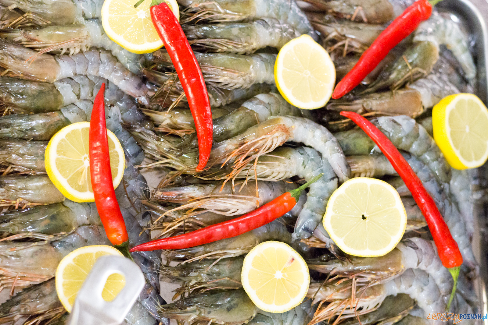 Spotkanie noworoczne w Dello Ristorante Foto: lepszyPOZNAN.pl/Piotr Rychter Spotkanie noworoczne w Dello Ristorante Foto: lepszyPOZNAN.pl/Piotr Rychter