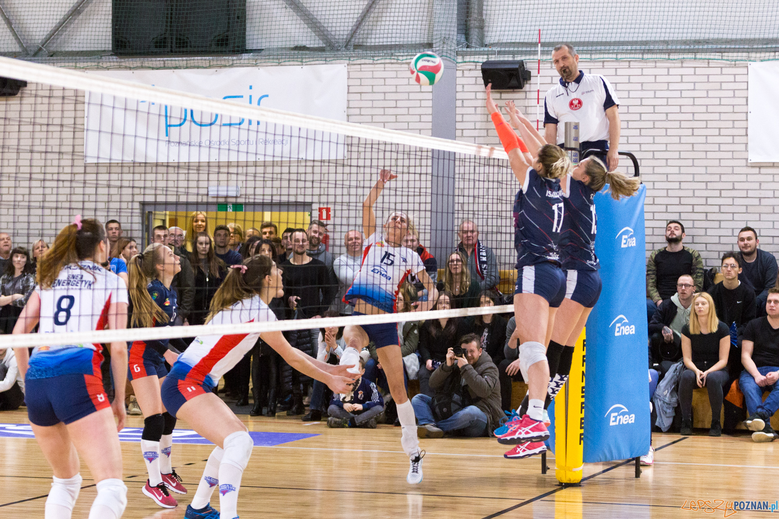 Enea Energetyk Poznań - Energa MKS Kalisz Foto: lepszyPOZNAN.pl/Piotr Rychter Enea Energetyk Poznań - Energa MKS Kalisz Foto: lepszyPOZNAN.pl/Piotr Rychter